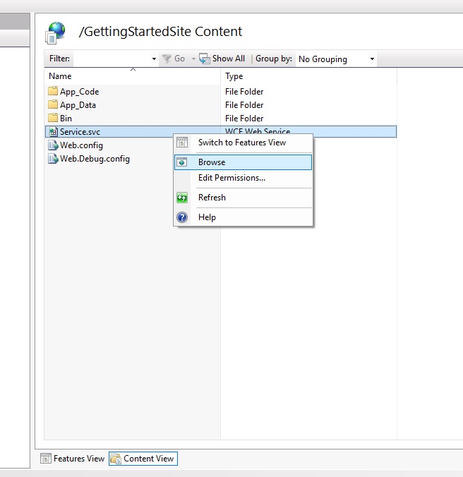 IIS-WebSite-ContentView