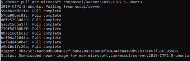 Docker Command