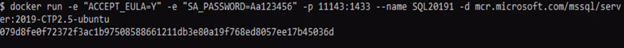 Docker Command
